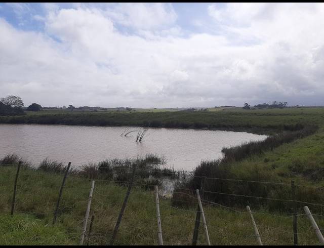 FARM FOR SALE IN GROOT BRAKRIVIER RURAL